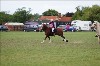 UKPA  NC Sat_1192